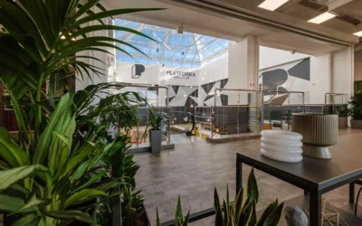 Platforma Office Club — 5