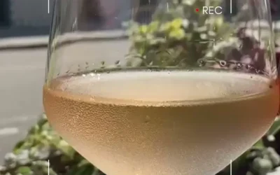 SORSO restaurant & wine bar — 5