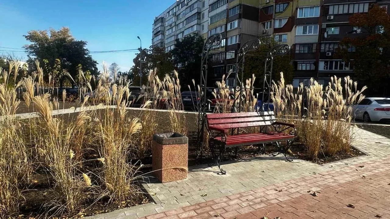 Декоративні злаки замість газонів: у Києві запроваджують європейські стандарти озеленення (фото)