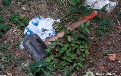 Забив палицею та молотком: у Києві затримали військовослужбовця за вбивство пенсіонера (відео)