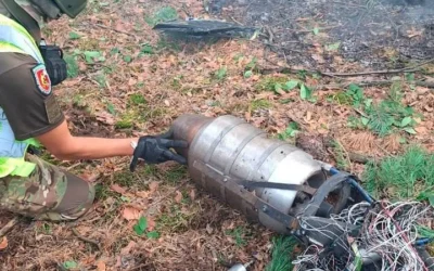 У Голосіївському районі Києва збили російський БпЛА «Герань-4»: вибухотехніки вилучили уламки (відео)