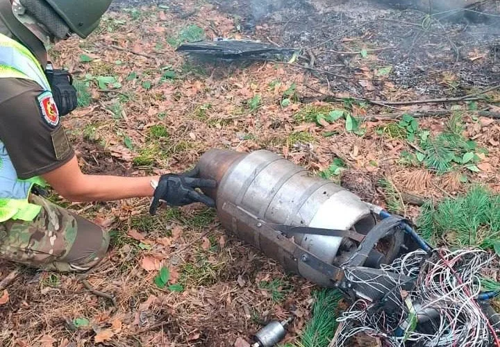 У Голосіївському районі Києва збили російський БпЛА «Герань-4»: вибухотехніки вилучили уламки (відео)