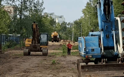На Теремках відновили роботи, попри обіцянку на два тижні призупинити вирубку дерев (відео)