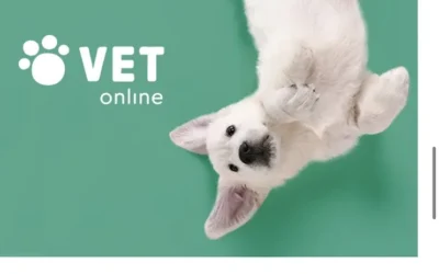 Фото - Upturn Digital Agency, просування сайтів (seo) у Києві