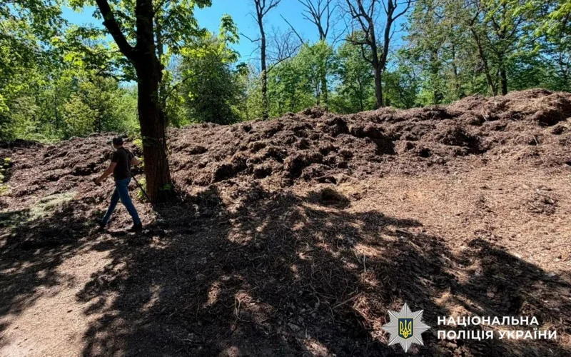 Розтрата на прибиранні парку: посадовиці Подільської РДА повідомили про підозру